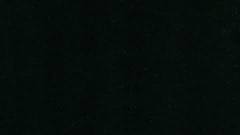 THE MIMIC 2 [HORROR]