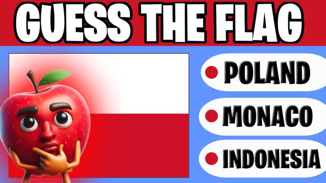 GUESS THE FLAG
