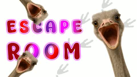 🎯 Ostrich Escape Room | by GT 💡