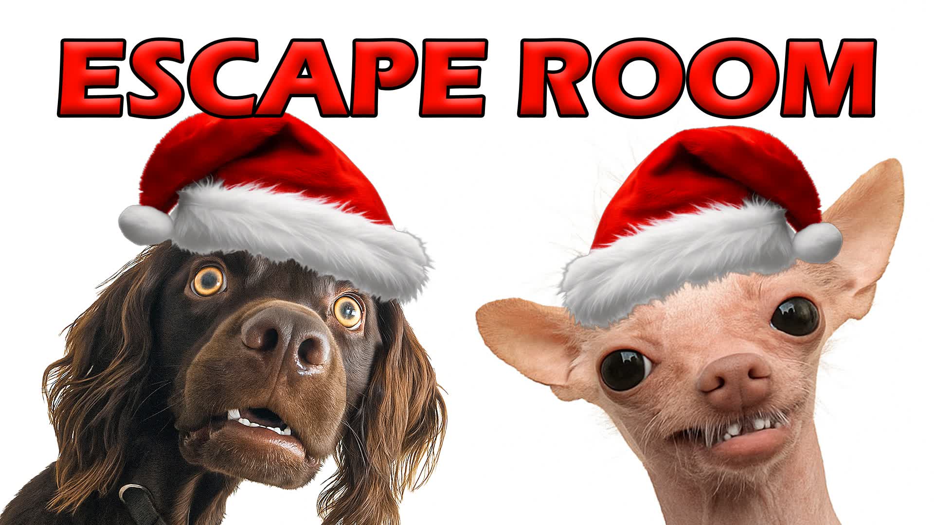 🧠 ESCAPE ROOM 🚪 BRAINROT MEMES