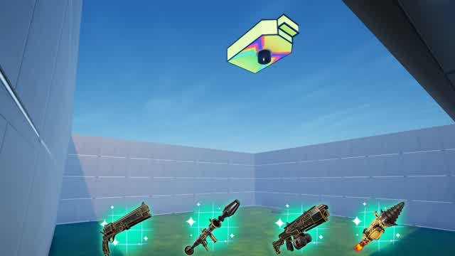 1v1 WITH ALL GUN