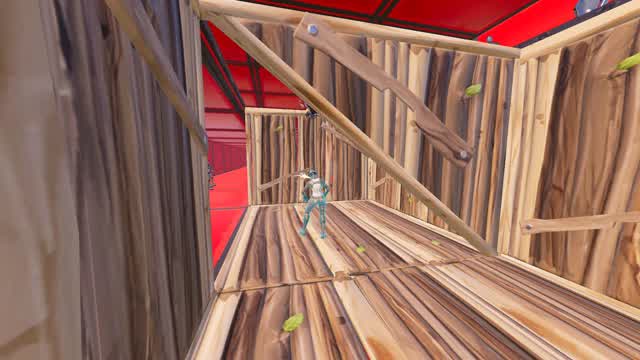 Tunnel Training Arena