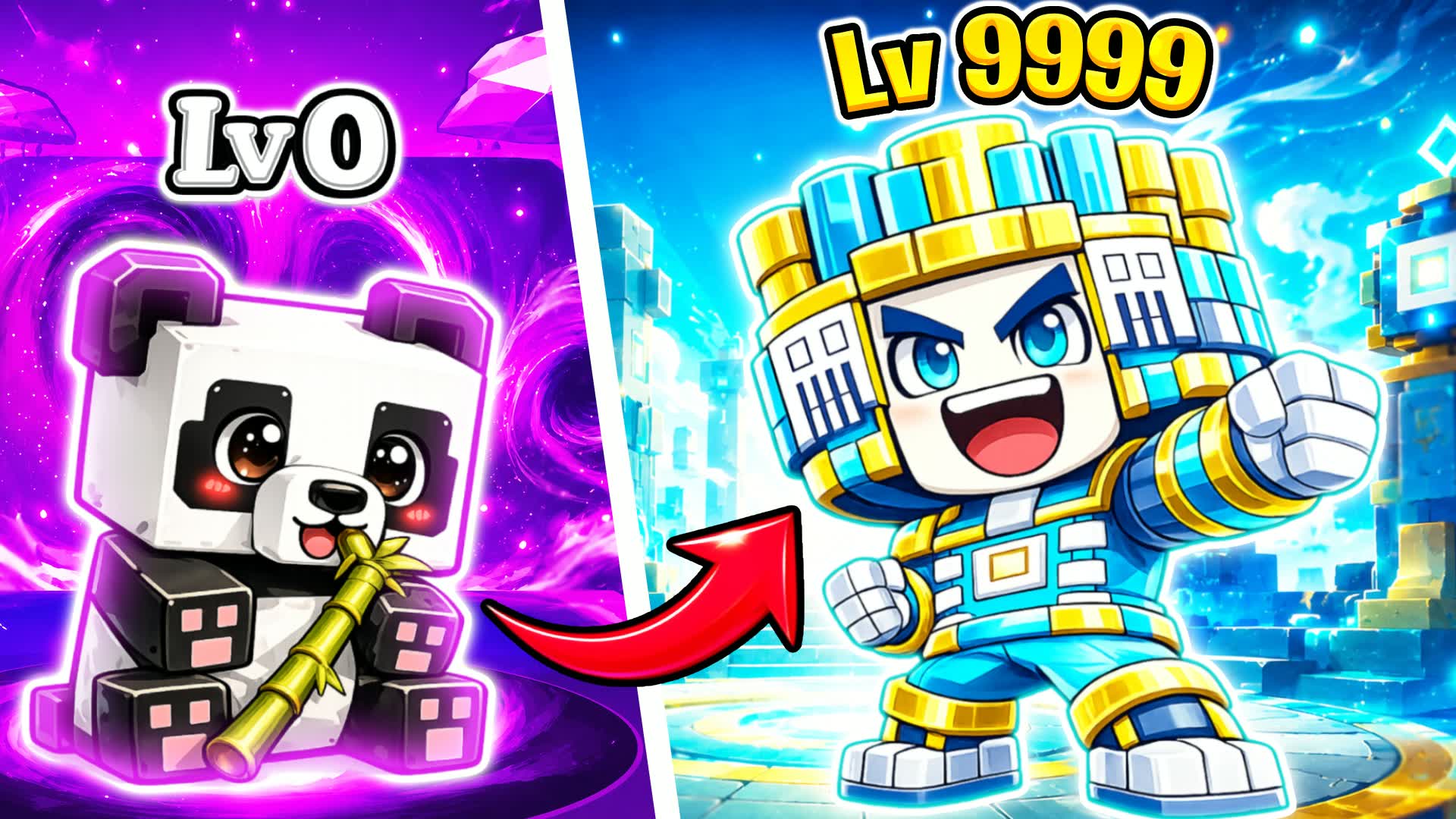 PANDA EVOLUTION