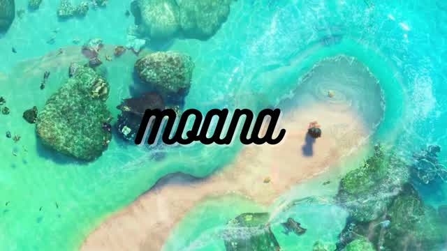 🌊🌺  Moana RP  🌺🌊