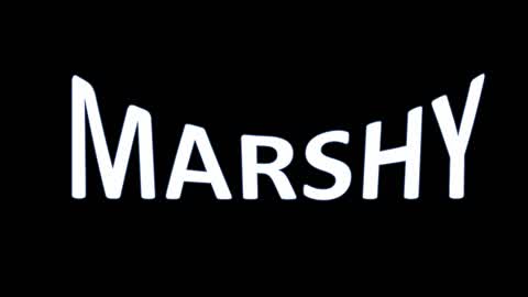 The Marshy Games