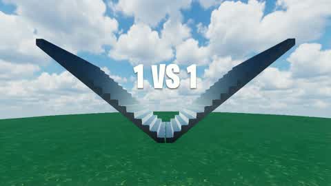 1VS1 NEW