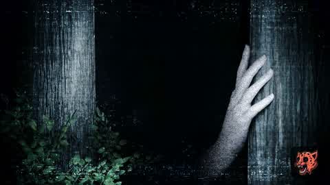 The Woods🌲 [Horror]