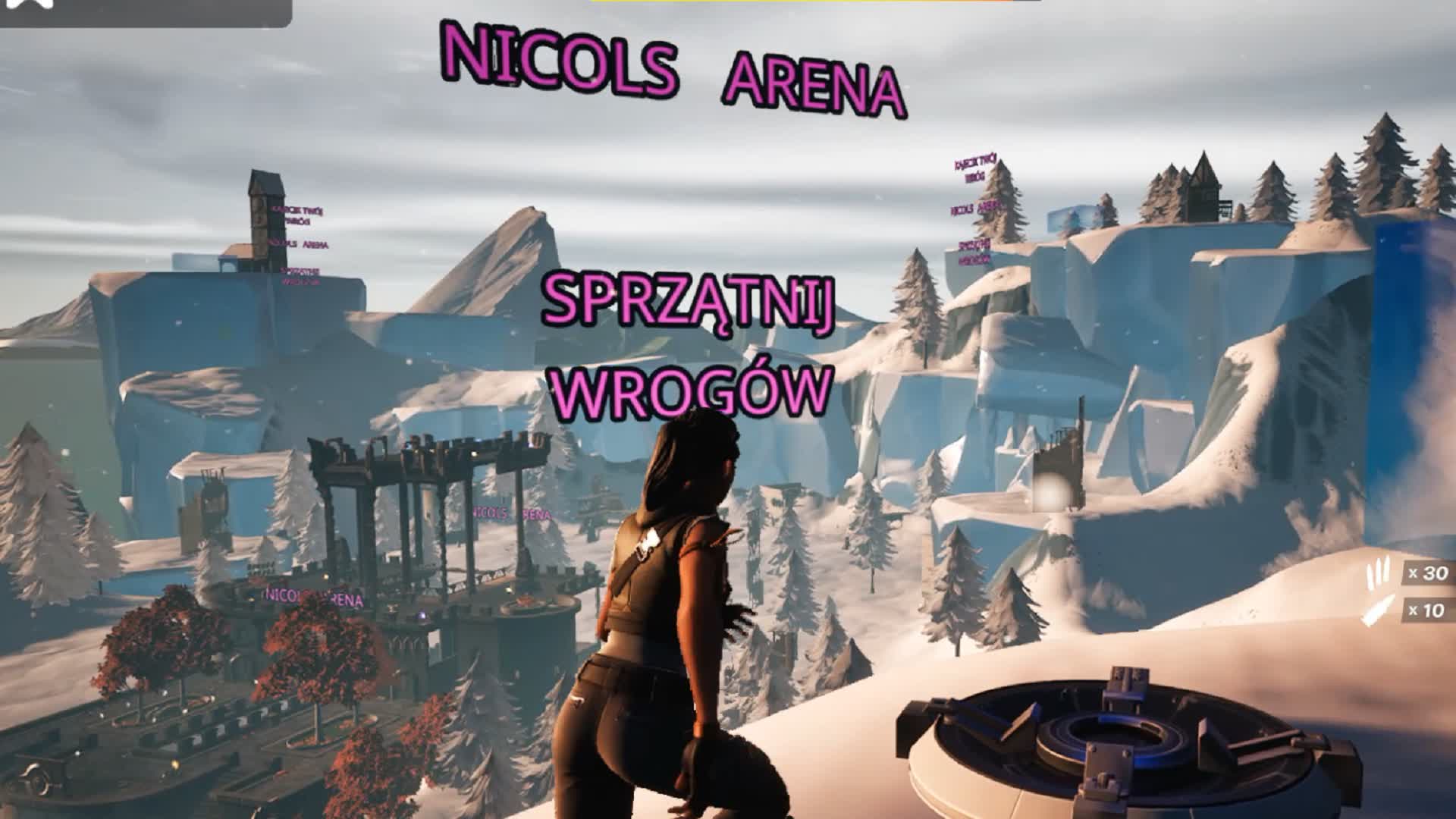 Nicols Arena