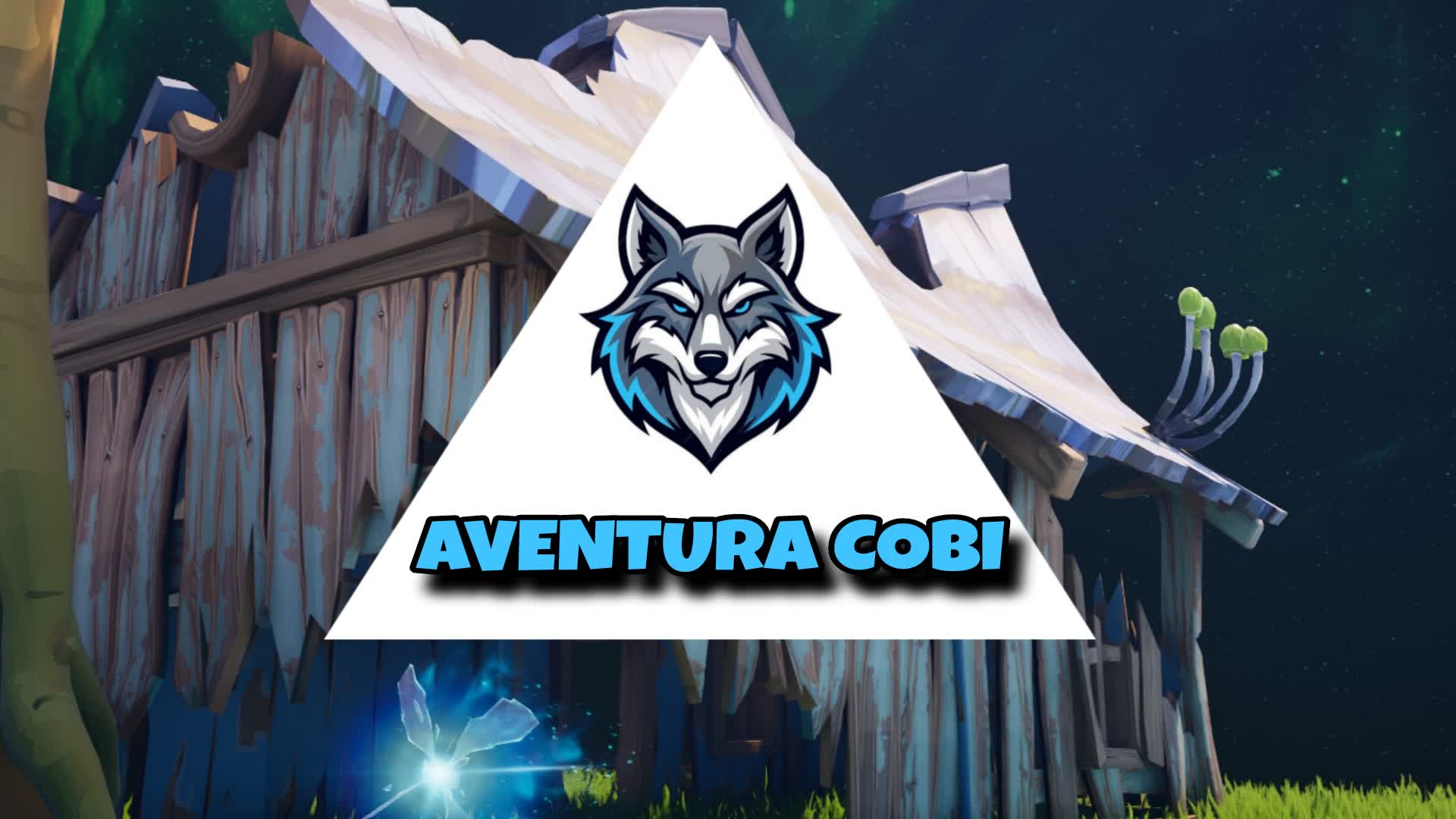Aventura Cobi