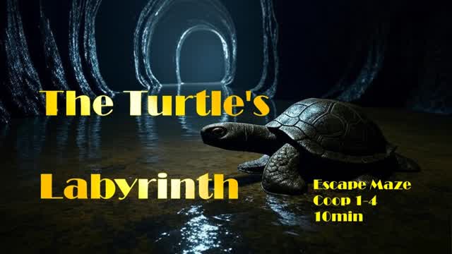 The Turtle's Labyrinth