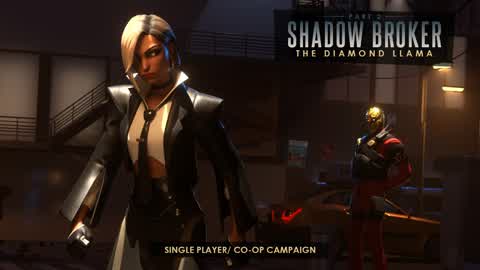 Shadow Broker - Diamond Llama Part 2