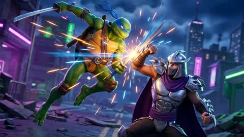TURTLES FIGHTING