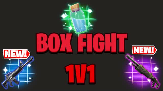 BOX FIGHT 1v1