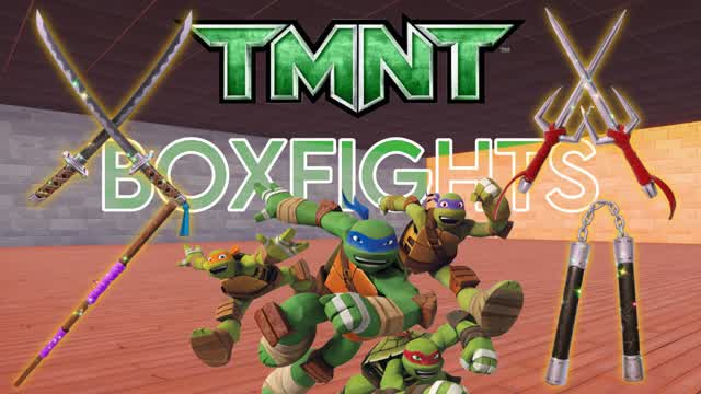Capture 1 â TMNT BOXFIGHTS đ„·đą