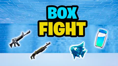BoxFight