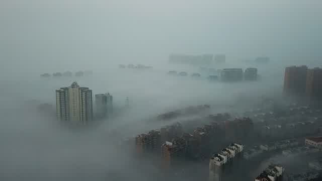 ZOMBIE CITY 2