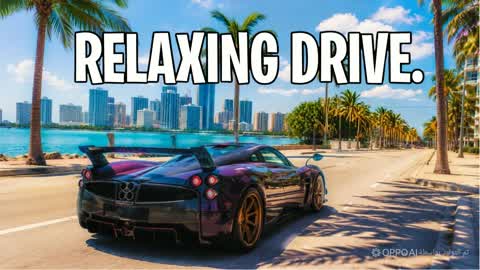 MEGA THE DRIVING RP 🌴🌴