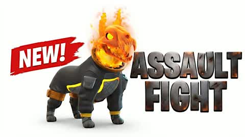 Assault Fight