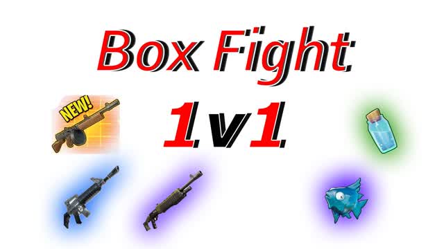 Box Fight 1v1