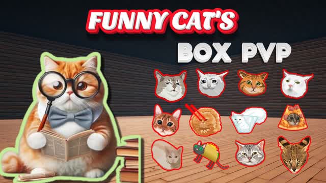 📦 FUNNY CATS BOX PVP📦