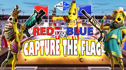 RED vs BLUE - Capture the FLAG
