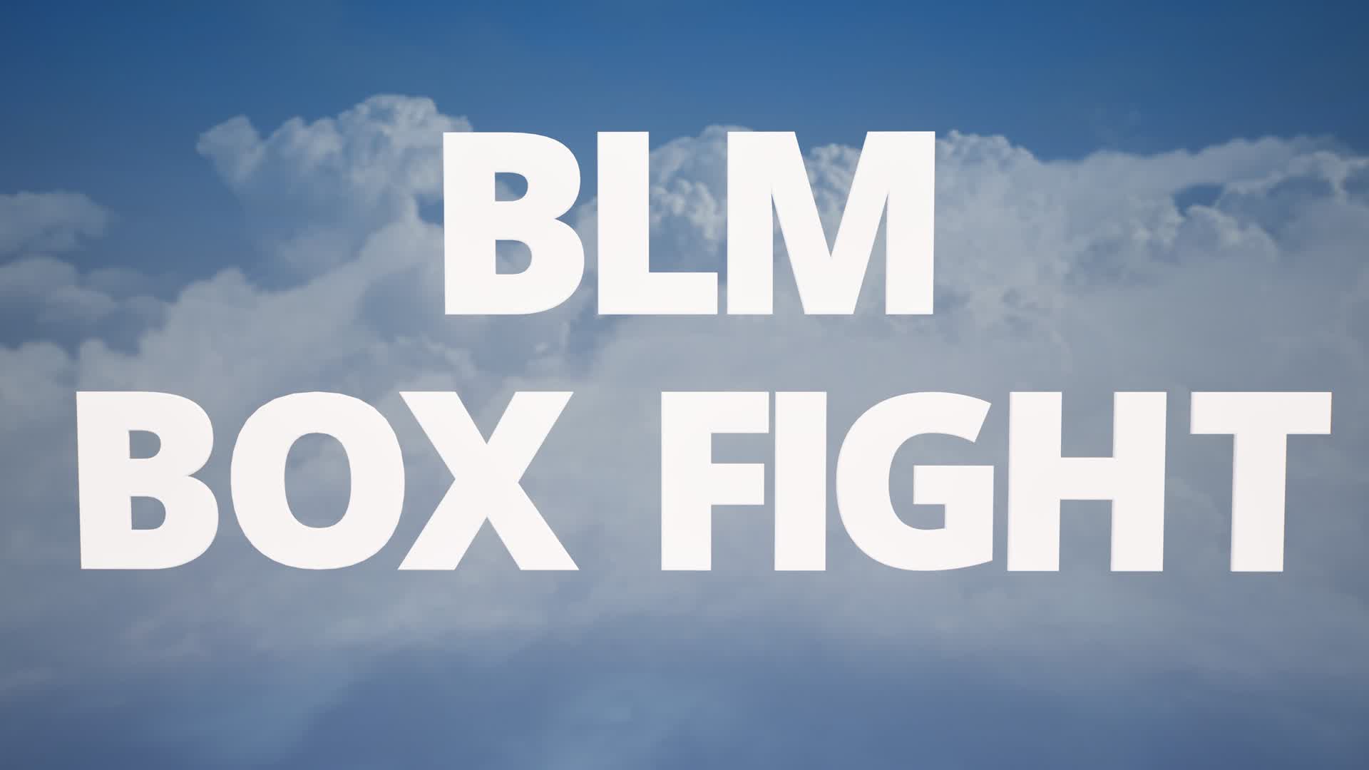 BLM BOX FIGHT