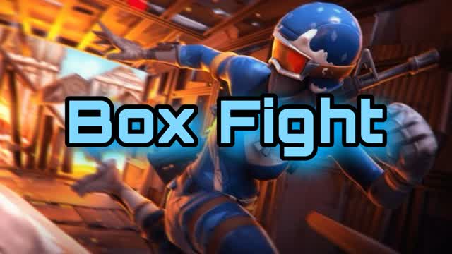 Box Fight