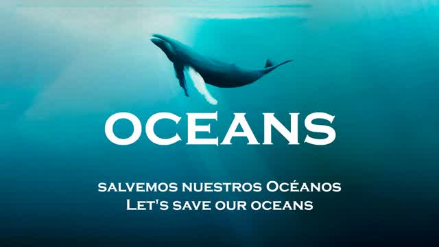 Oceans Experience