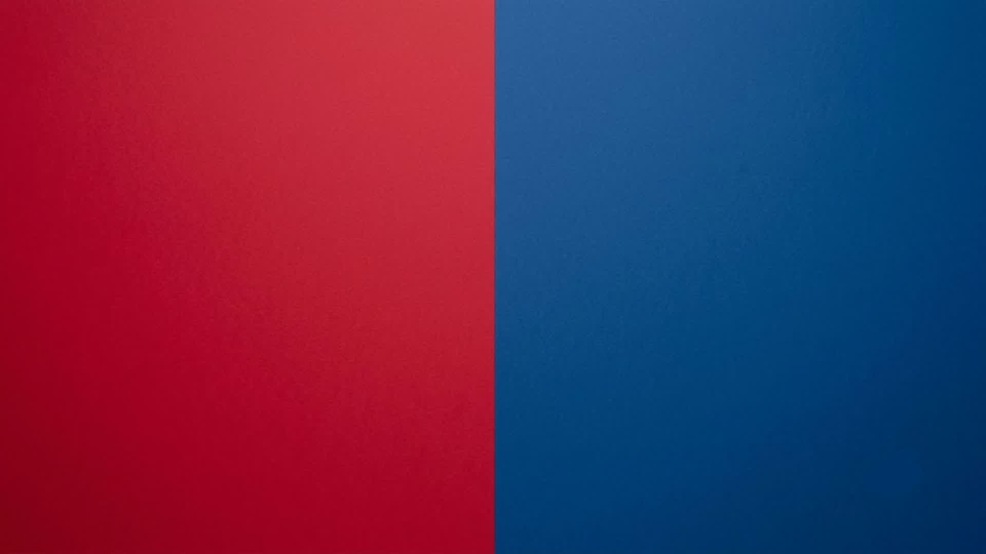 RED VS BLUE 8374