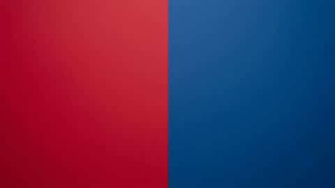 RED VS BLUE 8374