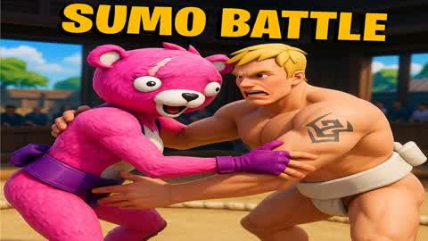 Sumo 1v1