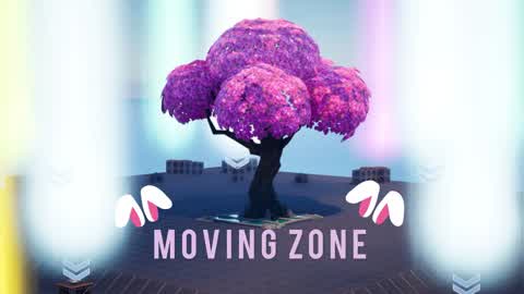 MOVING ZONE 1