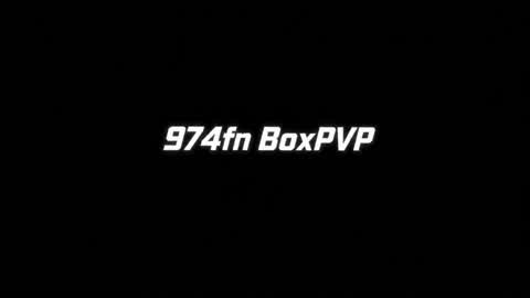 974FN BoxPVP