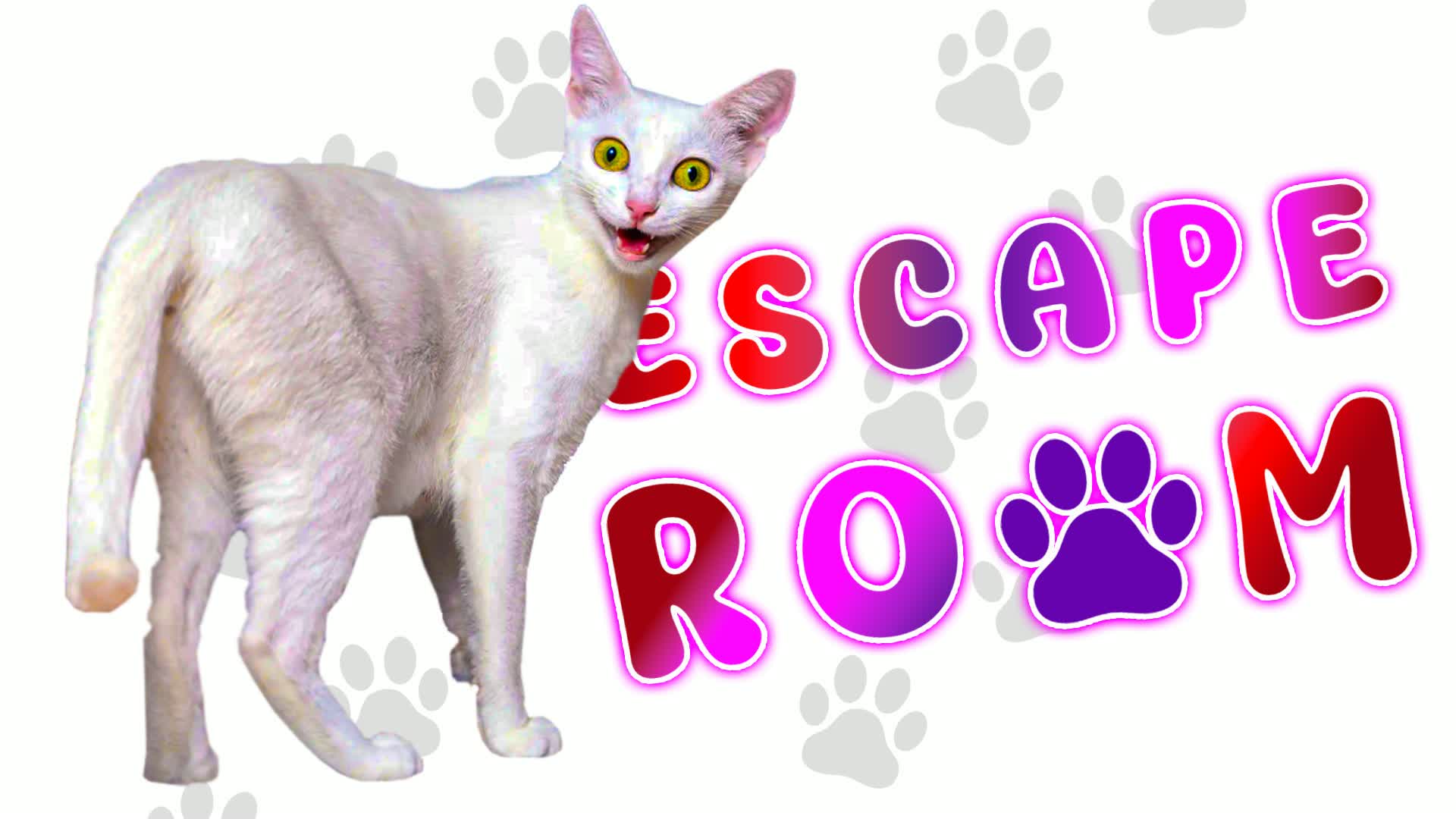 👑 Funny Cat Escape Room | by GT 👑