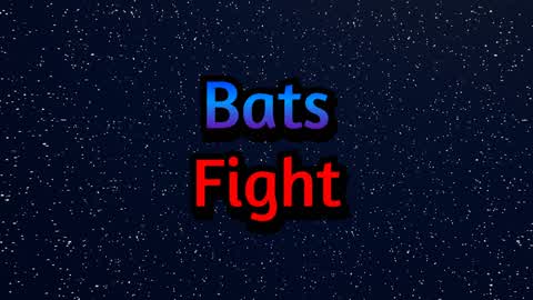Bats Fight