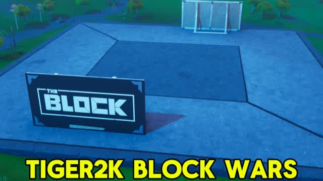 TigeR2K Block Wars
