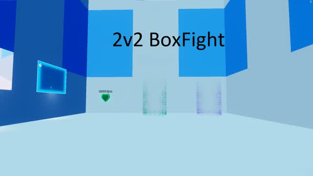 2V2 BOX FIGHT