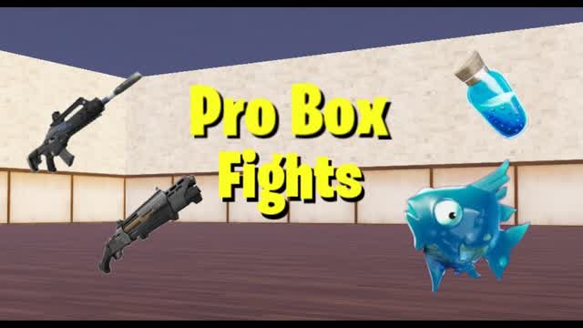 Pro Box fights