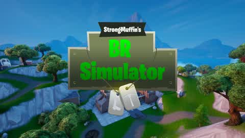 BR Simulator