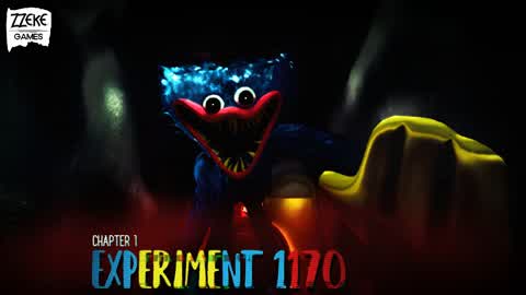 Experiment 1170 (Chapter 1)