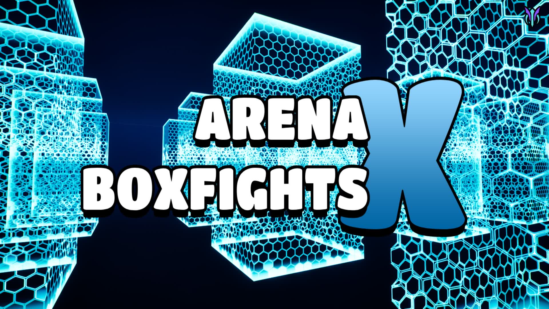 Arena X Boxfights