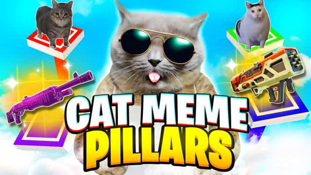 CAT MEME PILLARS 😺