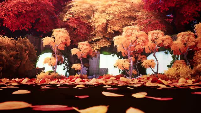 Autumn forest