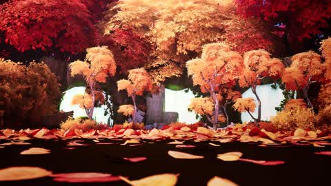 Autumn forest