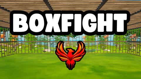 BOXFIGHT - LAU7377