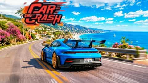 THE CAR CRASH DRIVER 🌴🌴