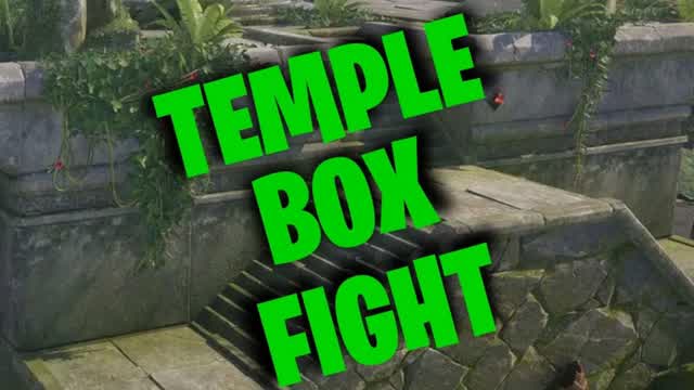 Temple Box Fight