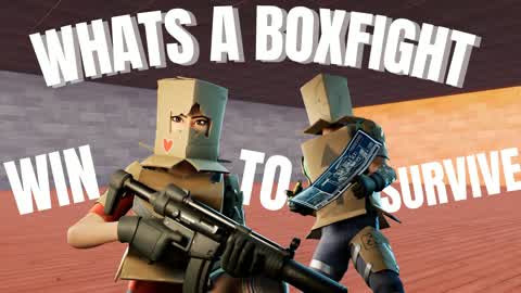 WHATS A BOXFIGHT