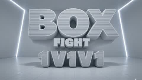 BOX FIGHT-1V1