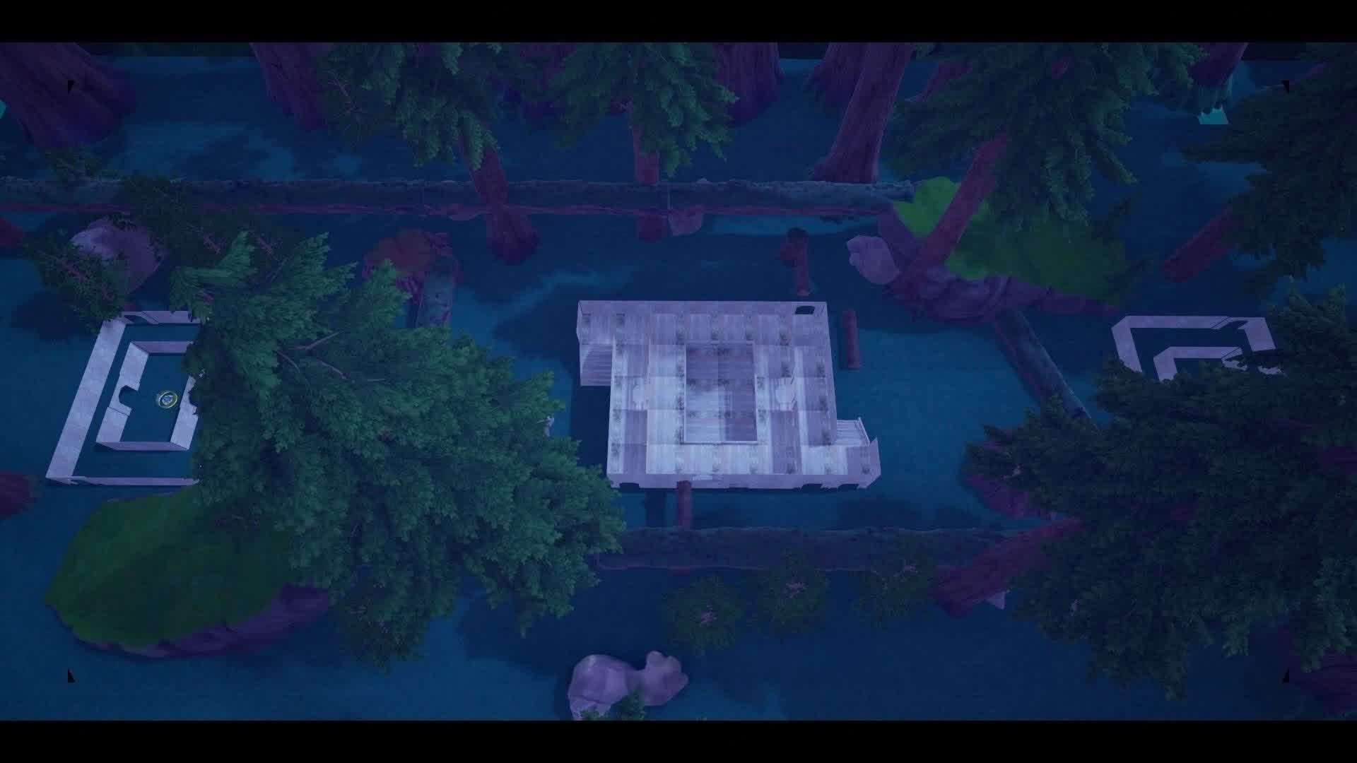 Capture The Flag- Forest